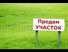 Срочно !