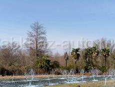 Гулырыпшский район,село эстонка<допукыт>