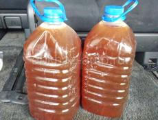 Каштановый мёд 🍯