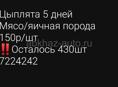 Цыплята 