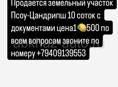 Срочно 🚨 