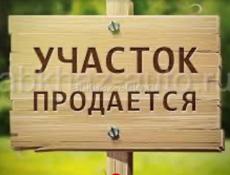 ‼️СРОЧНАЯ‼️