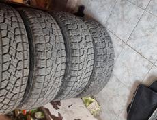 Brilliance Jinbei