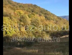 1га холодная речка 