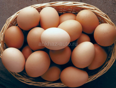 Яйцо Алахадзы 10шт 250
