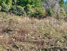 СРОЧНАЯ ПРОДАЖА 6 СОТОК С ВИДОМ НА МОРЕ