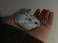 хомяки 
