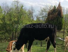 Срочно