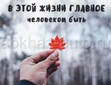Строим заборы и мелкие бетонные и всякие работы! Цена договарная ы 