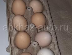 Куплю