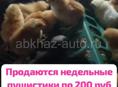 Продам 