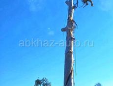 СПИЛ АВАРИЙНЫХ ДЕРЕВЬЕВ 