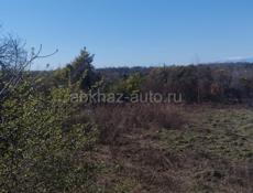 УЧАСТОК ПРОДАЖА 1 ГЕКТАР