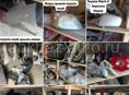 Б/у запчасти на иномарки Toyota mark X, Voxy, Alphard, Noah, Honda stepwgn, fit, Nissan, Leksuz, Mazda и тд