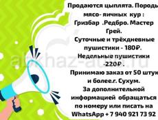 Принимаю заявки