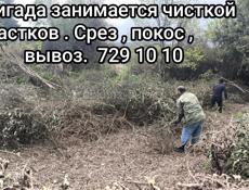 Звонить, писать  на 729 10 10