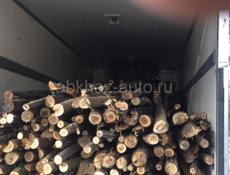 Колышки на личий 