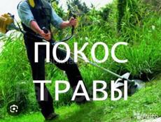 Разные работы по двору 