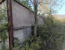 Цинкари разные