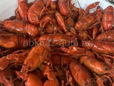 Раки Донские(Маныч) для понимающих гурманов! 