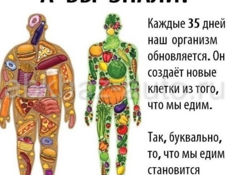 Клеточное питание