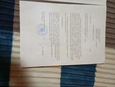 Цандрипш 