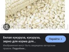 Подаются домашная водка 70 градусов продаются сочная