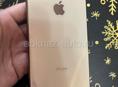 XS MAX 256