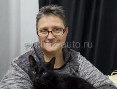 Кошки 