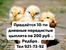 Продам 