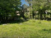 УЧАСТОК 70 СОТОК ТАМЫШ с ветхим строением 