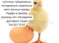Принимаю заявку.