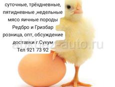 Продаются.