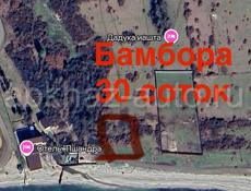 Бамбора 30 соток