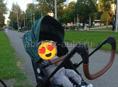 коляска 2в 1