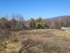 Участок 10 соток