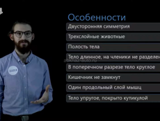 Продается участок в п.Агудзера 