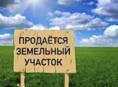 10 соток по дороге на Рицу 