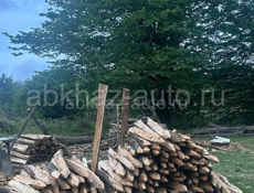 Колышки 