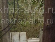 Звонить на Вотсапп 7318730 Продаю корову ( в апреле должна оттелиться)  И бычок годовалый 