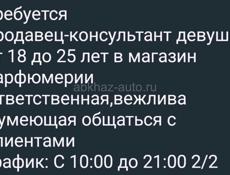 Продавец-консультант