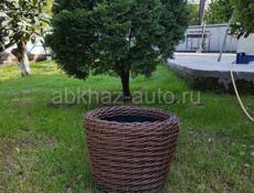 Кашпо