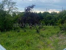 Первая линия