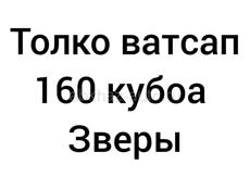 NF Motor