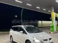 Mitsubishi Grandis