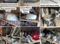 Автозапчасти на иномарки Toyota mark X,Alphard, Noah, Voxy, Honda stepwgn, fit, Nissan, Leksuz, Mazda и т д 