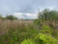 ПРОДАЖА: УЧАСТОК 6 СОТОК ЦАНДРИПШ с. АМЗАРА 800 МЕТРОВ ОТ БЕРЕГА 