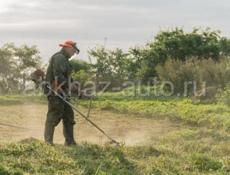 Наша команда приведет Ваш участок в порядок 