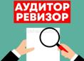 Аудитор в ревизионный отдел