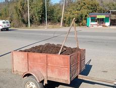 Продаю  карови  прошлогодний навоз для посадки огурцов помидор  и т.д.